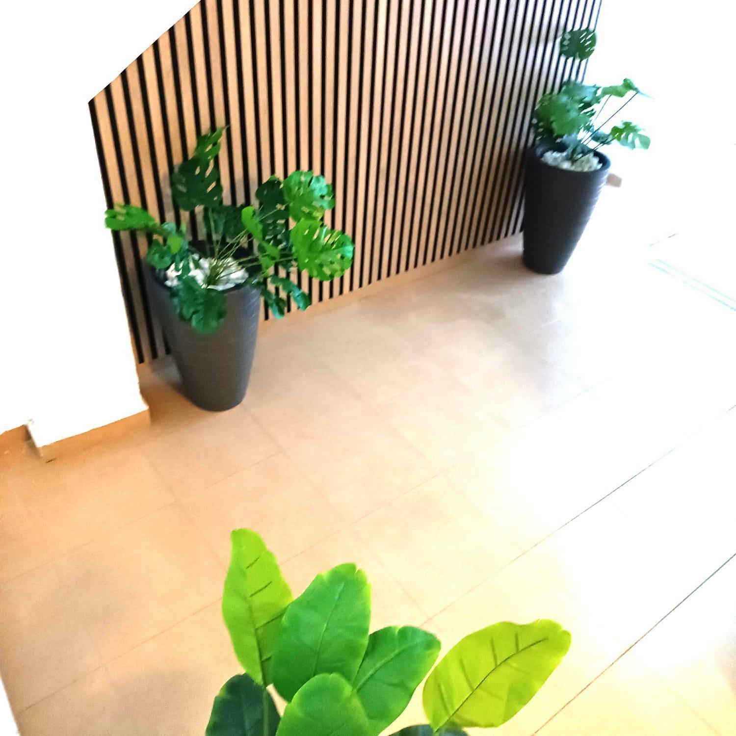 Apartamentos Terrazas De San Juan 말라가 외부 사진